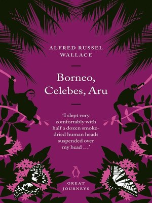 Borneo, Celebes, Aru - ebook